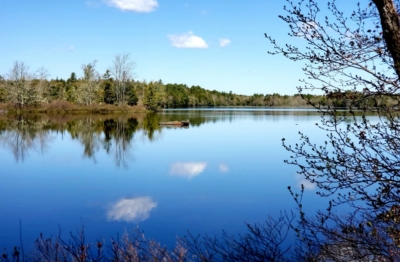 Upper Salters Lake Retreats