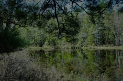 Upper Salters Lake Retreats