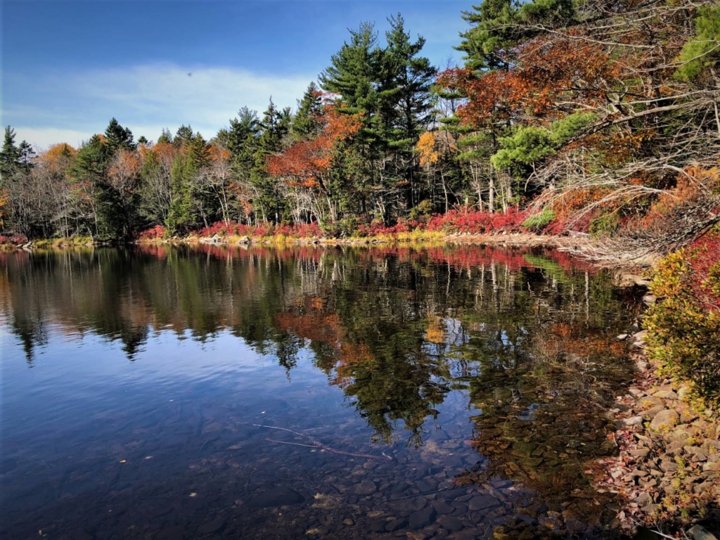 Upper Salters Lake Retreats