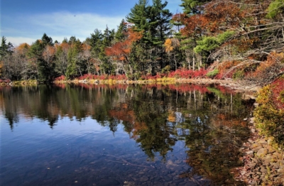 Upper Salters Lake Retreats