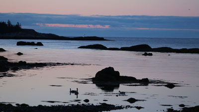 Waterfront Properties in Nova Scotia